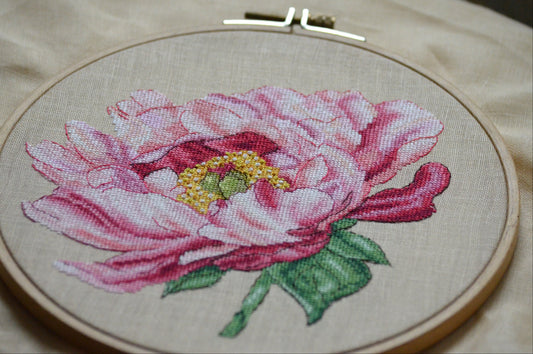 Pink peony.(PDF download)